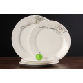Haonai 6"7"8"9"10" dinner plate white & round dinner plate ceramic flat plate with customized design for everyday dinning